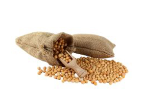 Unprocessed Whole Raw Yellow Peas